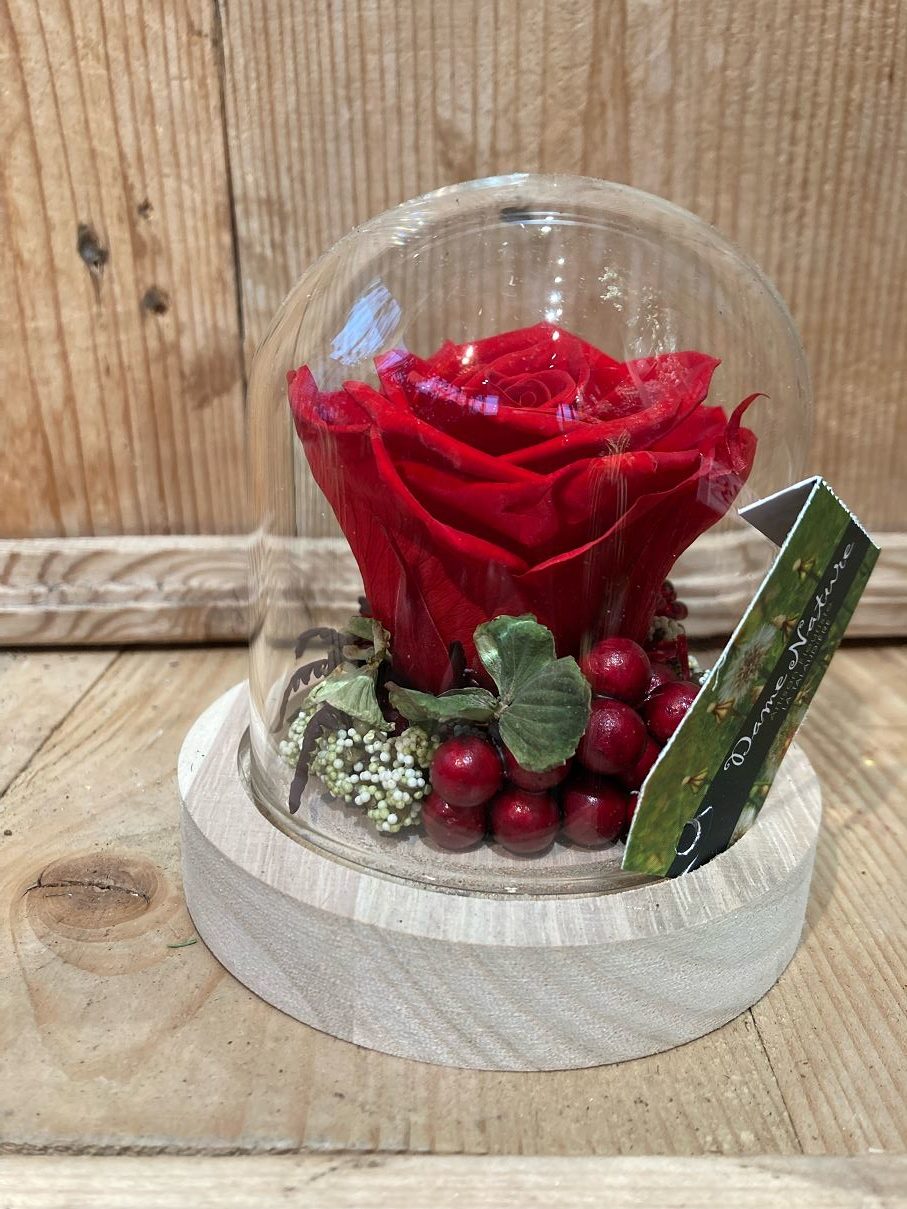 Rose Eternelle Sous Cloche Cadeau Saint-valentin, Rose Fleur