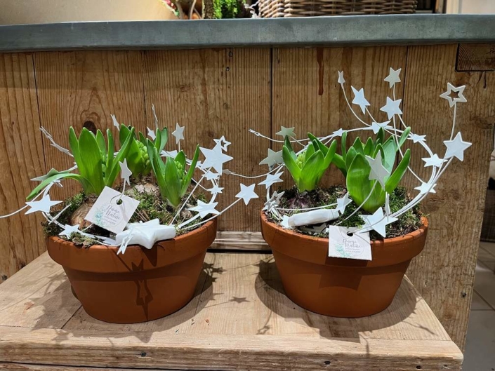 Fleursite_dame_nature_noel_2025 (2)