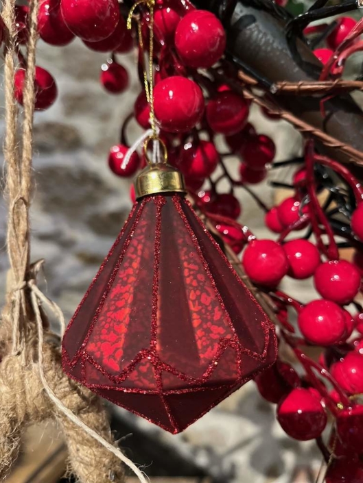 Fleursite_dame_nature_noel_2025 (3)