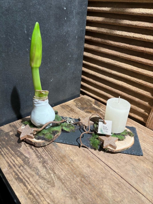 Fleursite_dame_nature_noel_2025 (7)