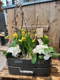 dame_nature_fleuriste_fete_des_grands_meres (8)