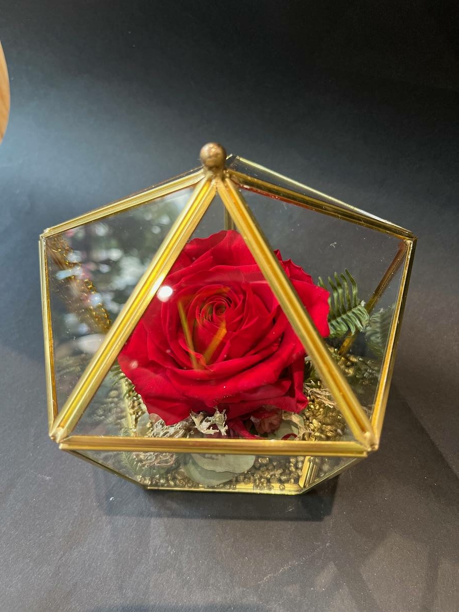 Rose éternelle – Boîte chapiteau – Image 10