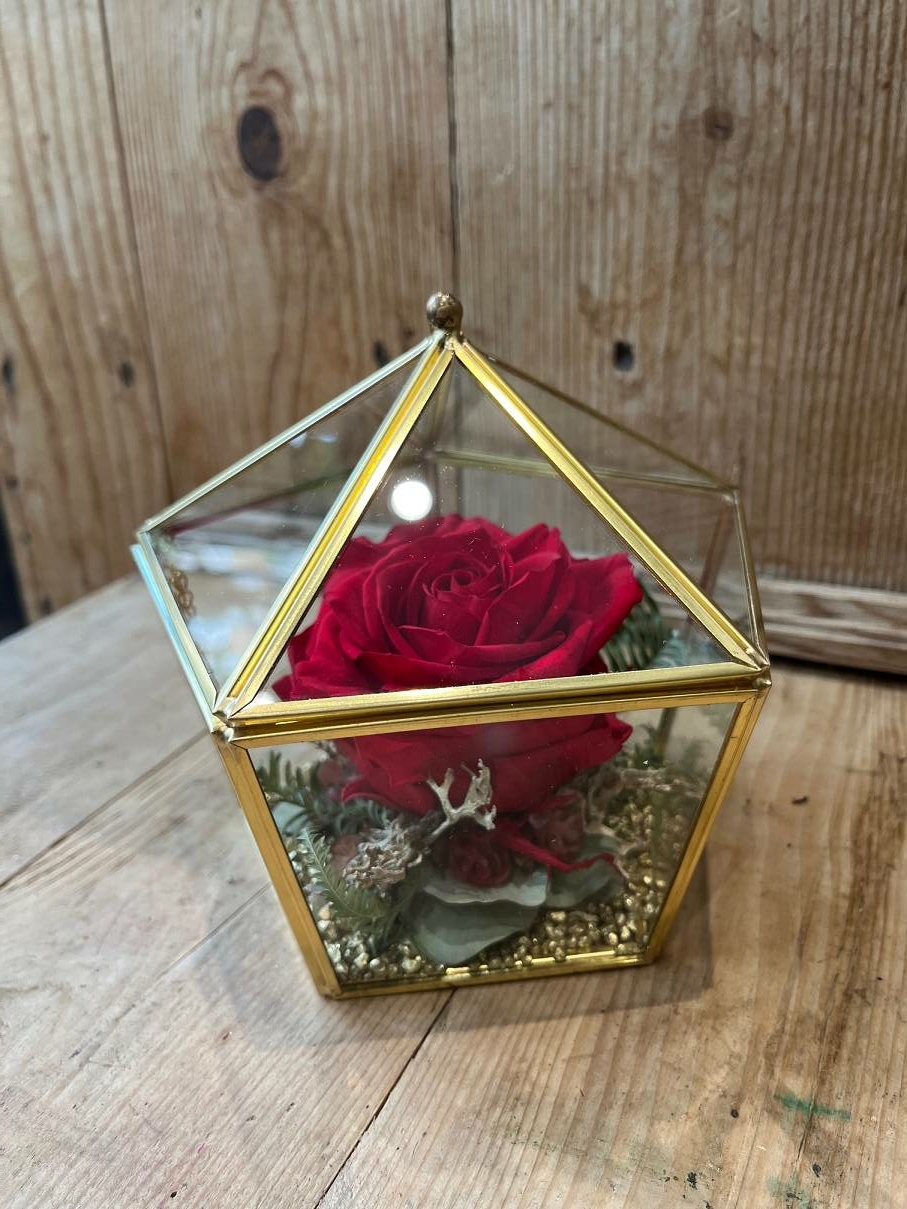 Rose éternelle – Boîte chapiteau – Image 9